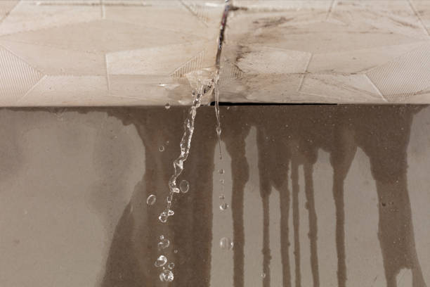 Professional Water Damage Repair technician working in Shrewsbury, MA